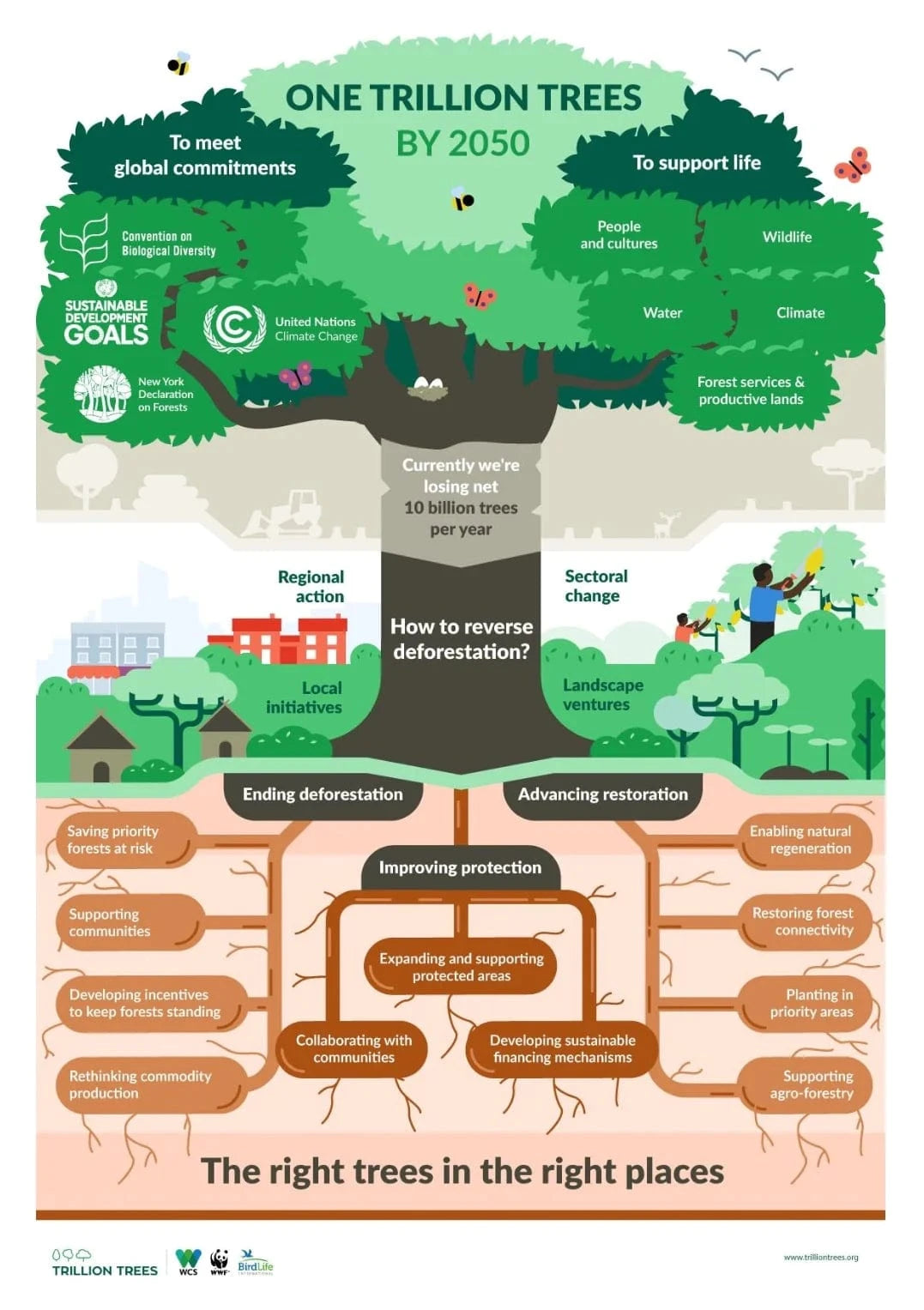 one trillion trees 2050