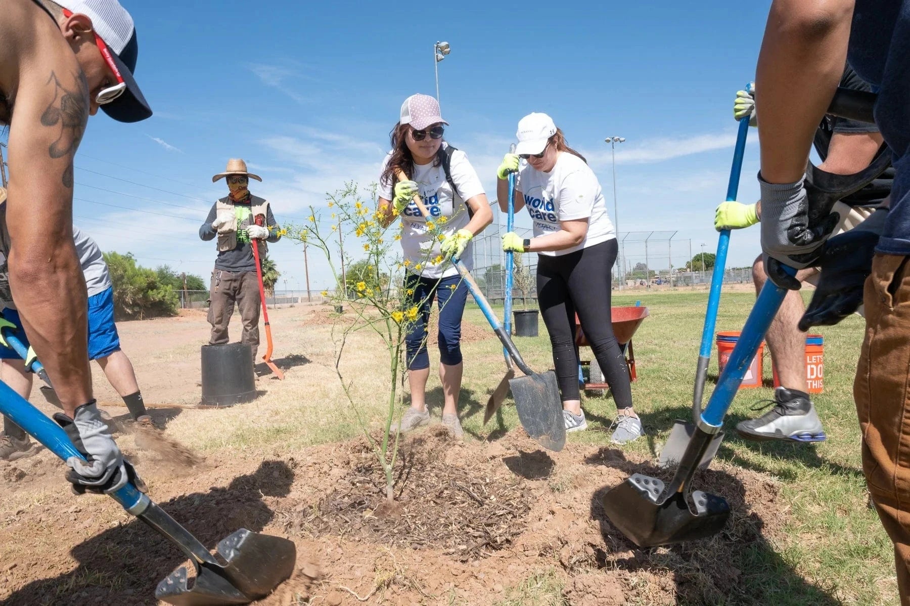 park tree planting crowd