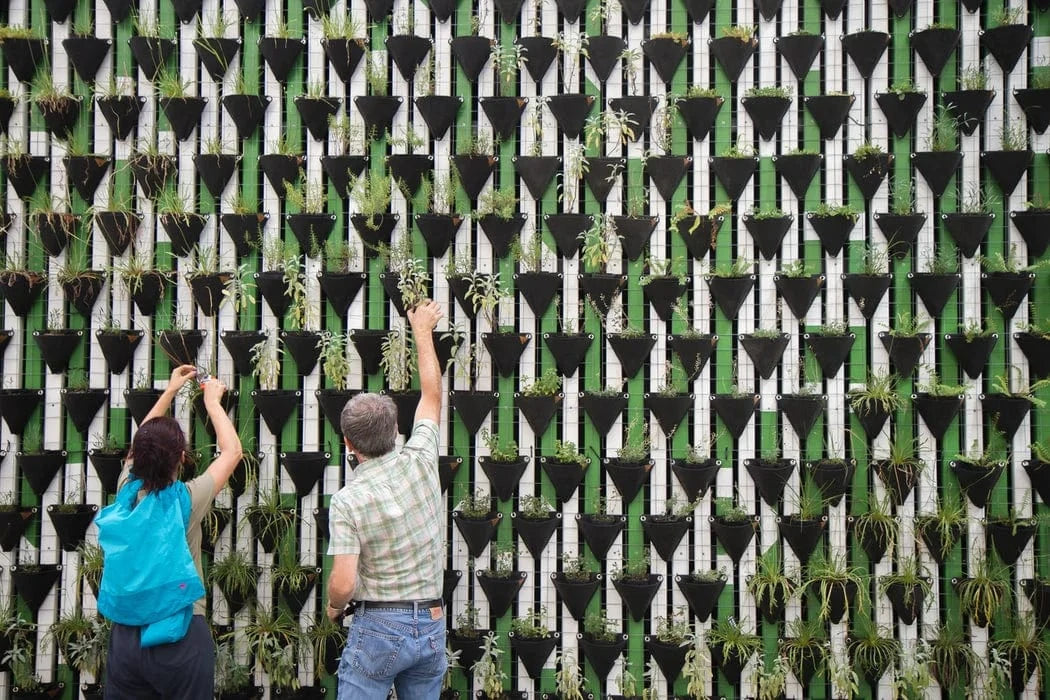 people planting vertical trees