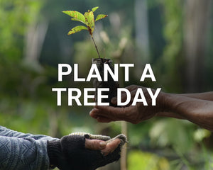 Plant A Tree Day