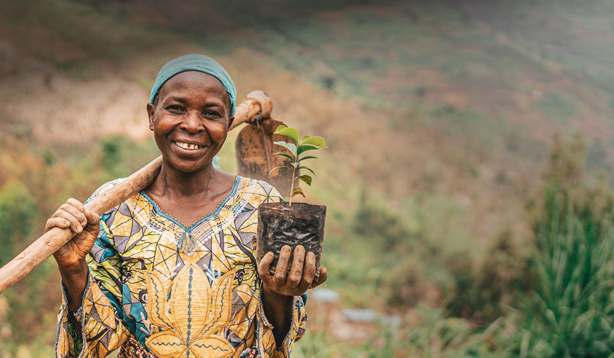 Plant Trees for Impact