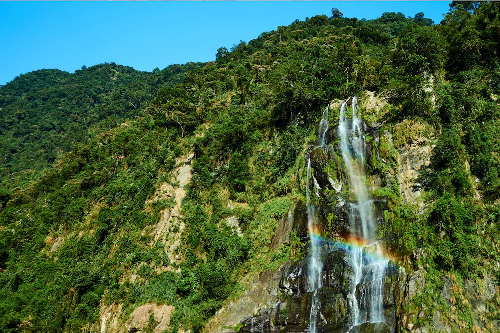 rainbow waterfall forest mountainside