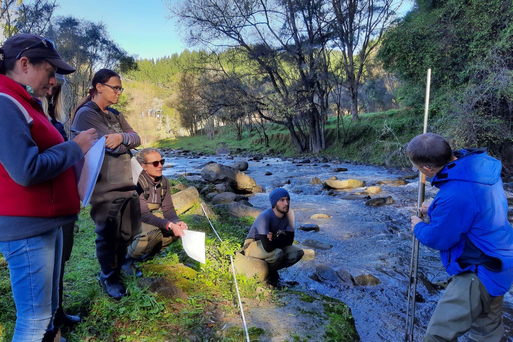 riparian workshop new zealand reforestation