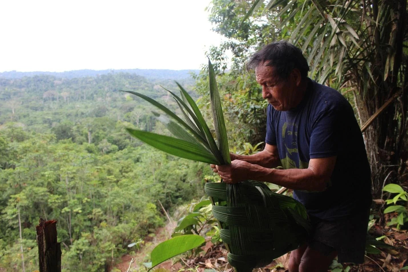 sapara man with tree seedlings