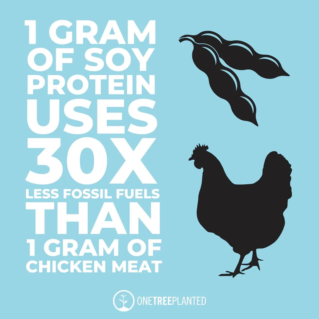 soy vs chicken fossil fuel impact