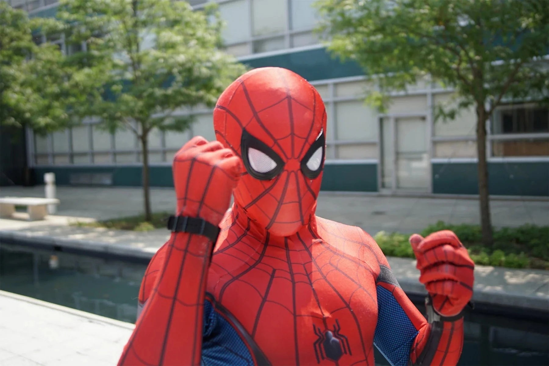 spider man urban tree environmentalist