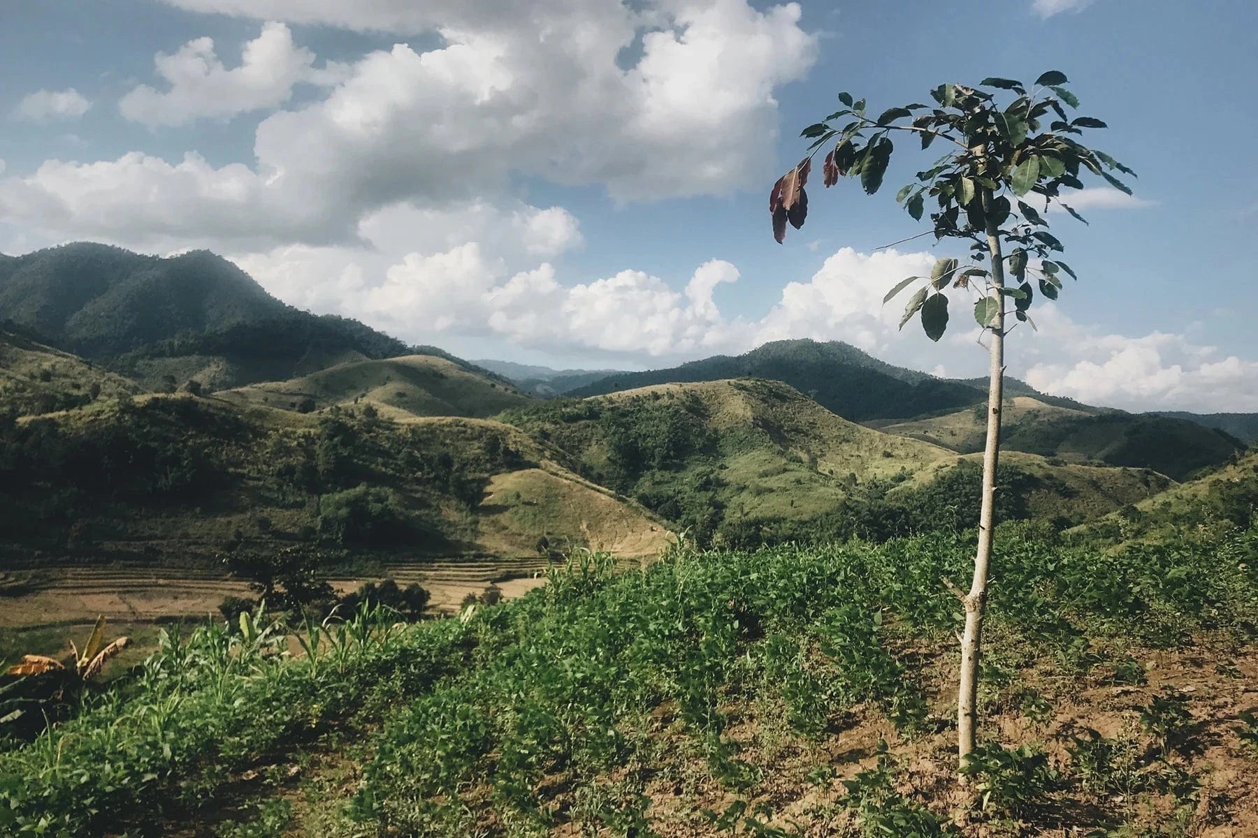 thailand landscape view