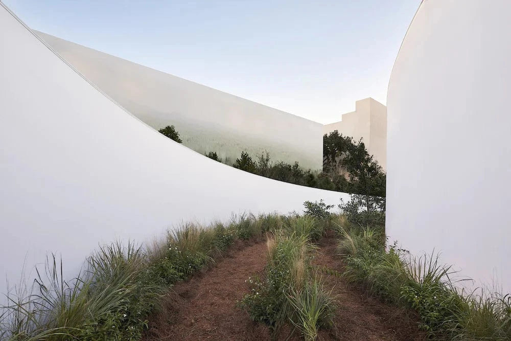 the forest of five echoes