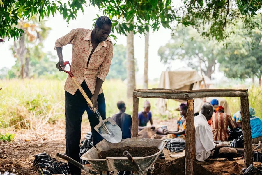 tree planter uganda