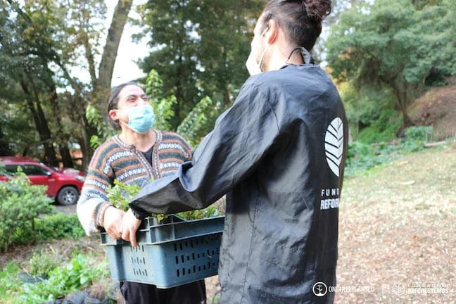 two people holding trees
