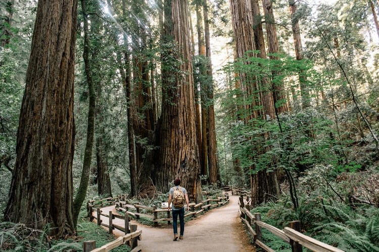walk in nature