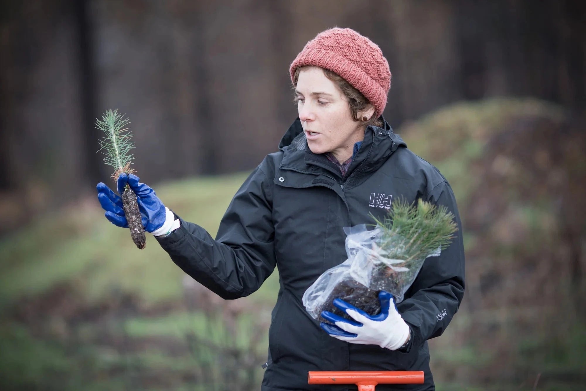 woman holding seedlings california