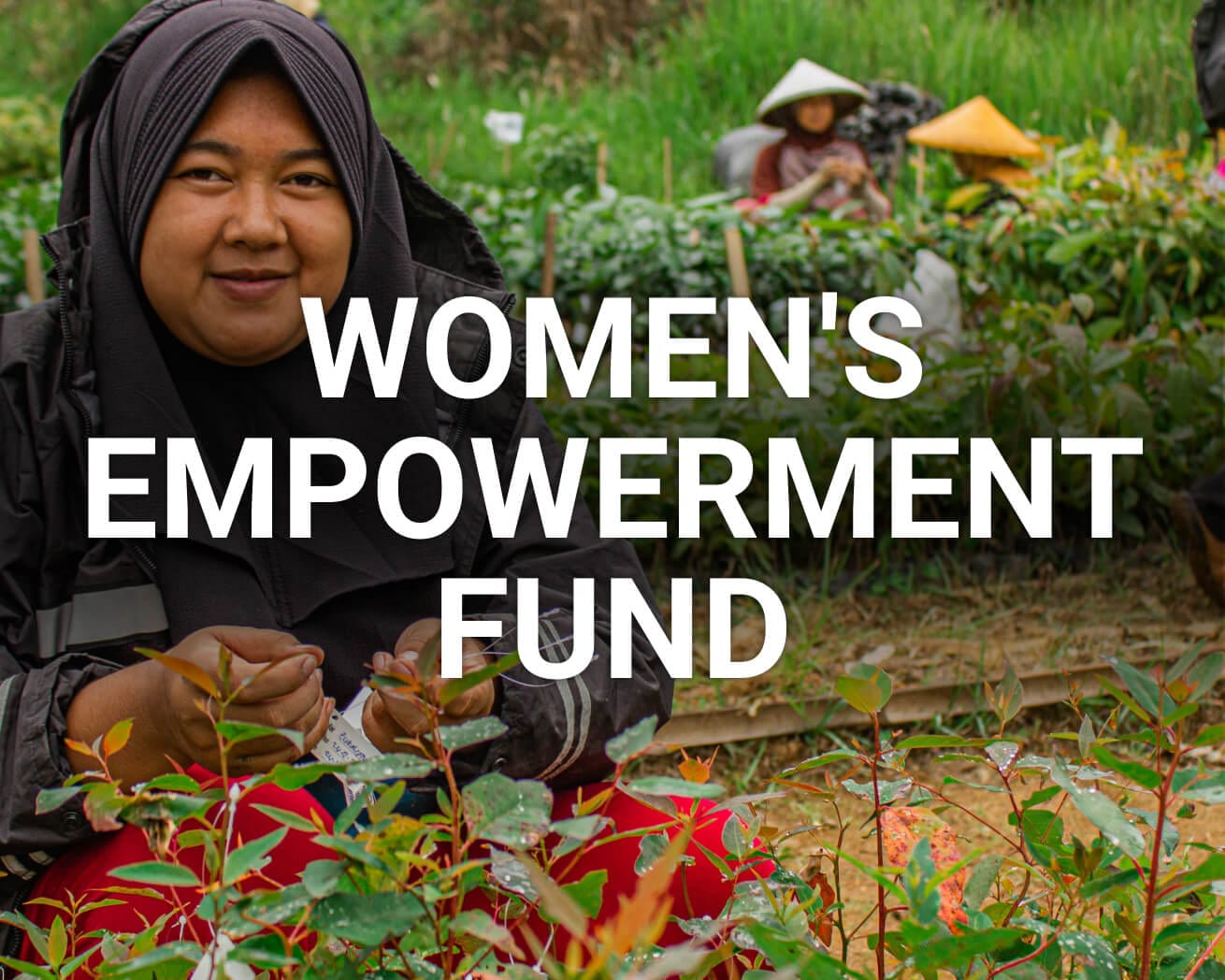 Women's Empowerment Fund