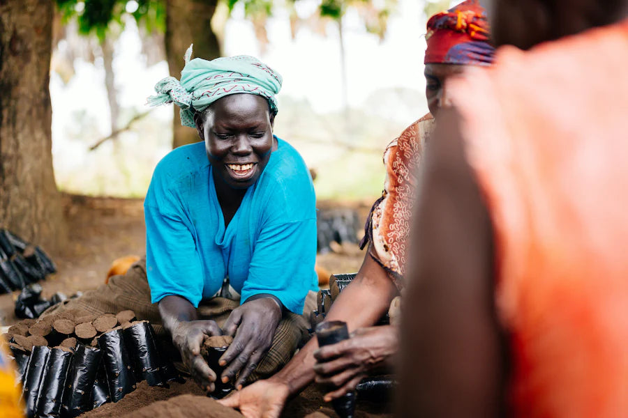 women seedling potting in uganda