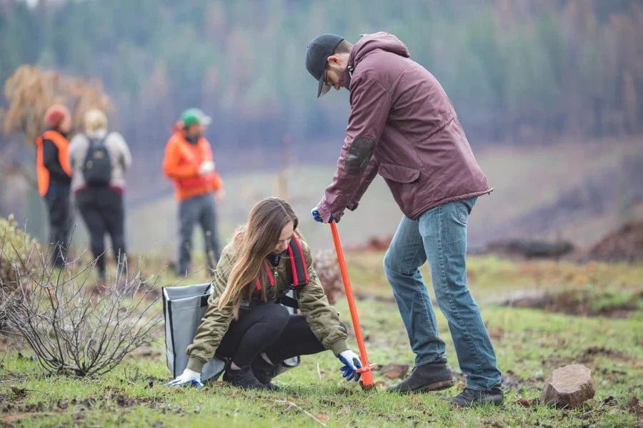 Young Couple Planting Trees Together In California