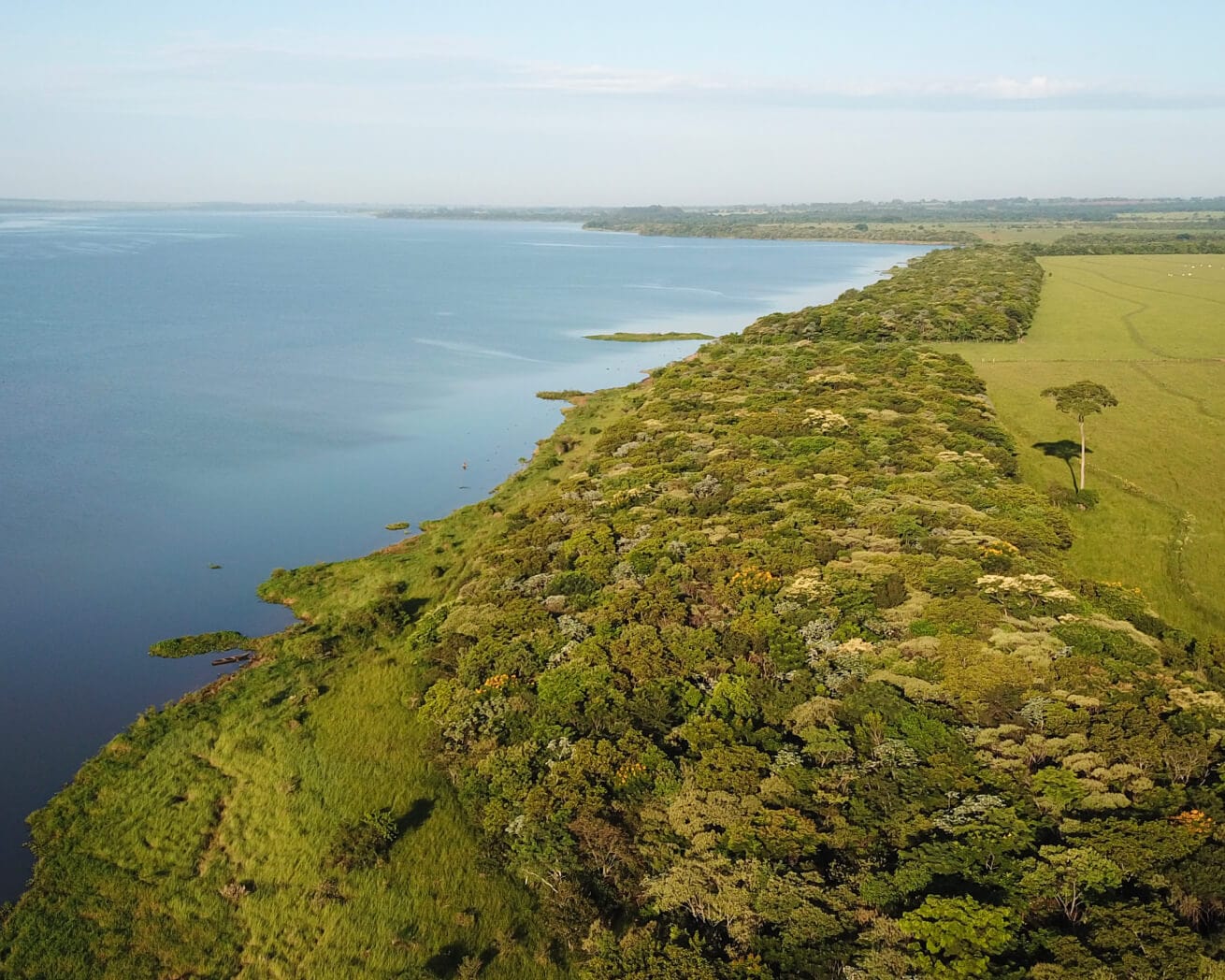 Brazil landscape