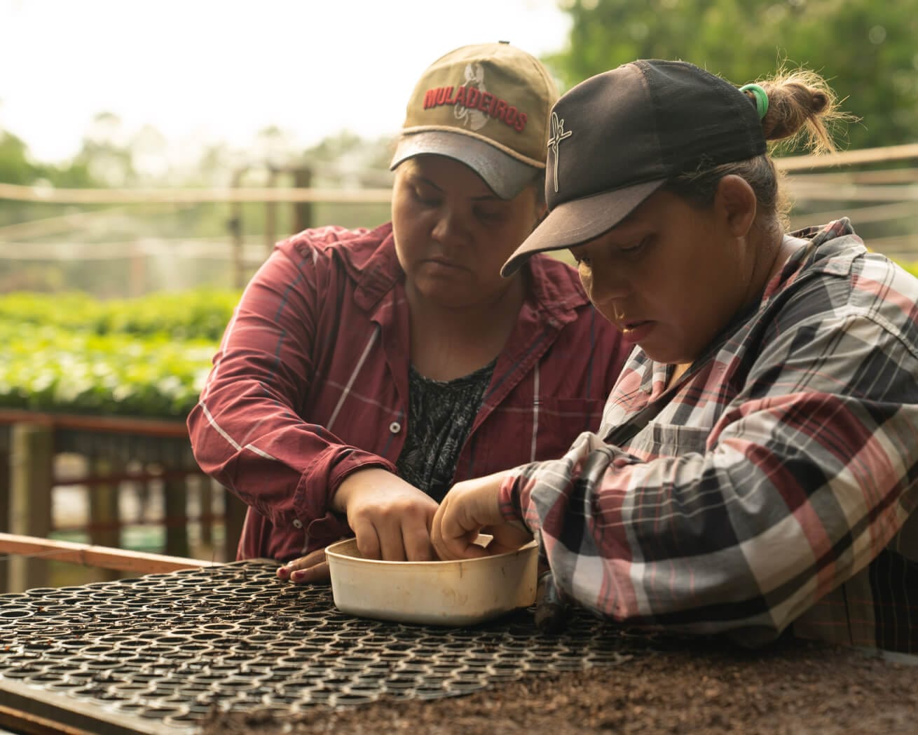 Planting partners sorting seeds