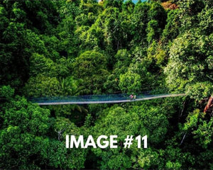 Custom greeting card image 11 - Bridge in the forests
