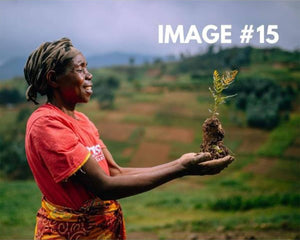 Custom greeting card image 15 - planting partner holding sapling