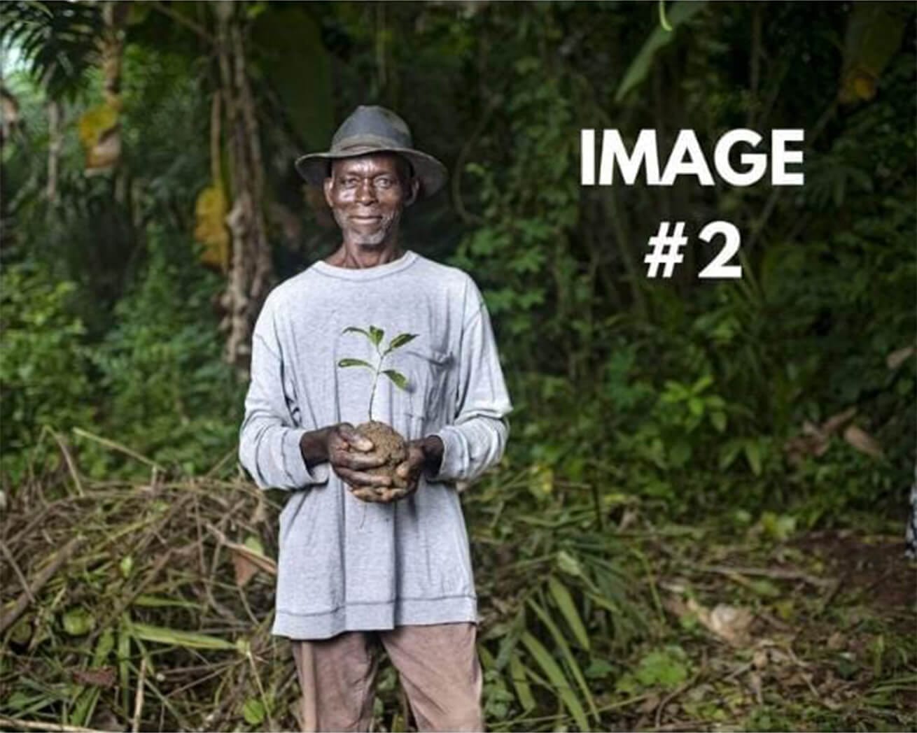 Custom greeting card image 2 - Planting partner smiling