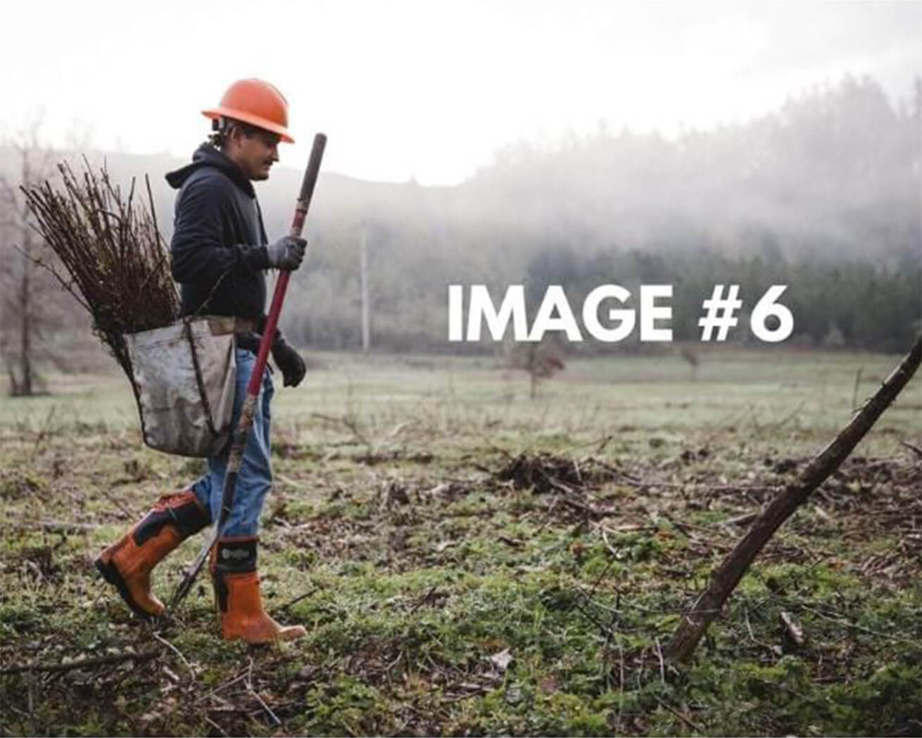 Custom greeting card image 6 - Tree planter planting saplings