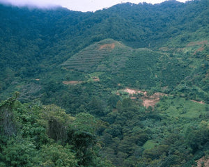Honduras landscape 