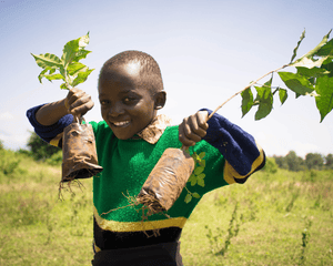Plant Trees in Tanzania - One Tree Planted