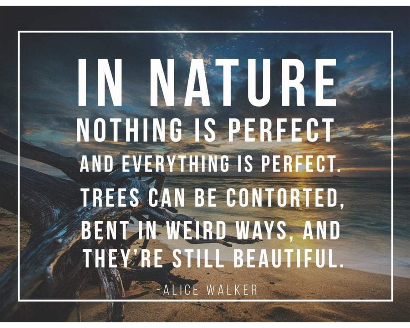 Tree Quote Card 5