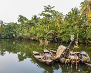 Plant Trees in Vietnam - One Tree Planted