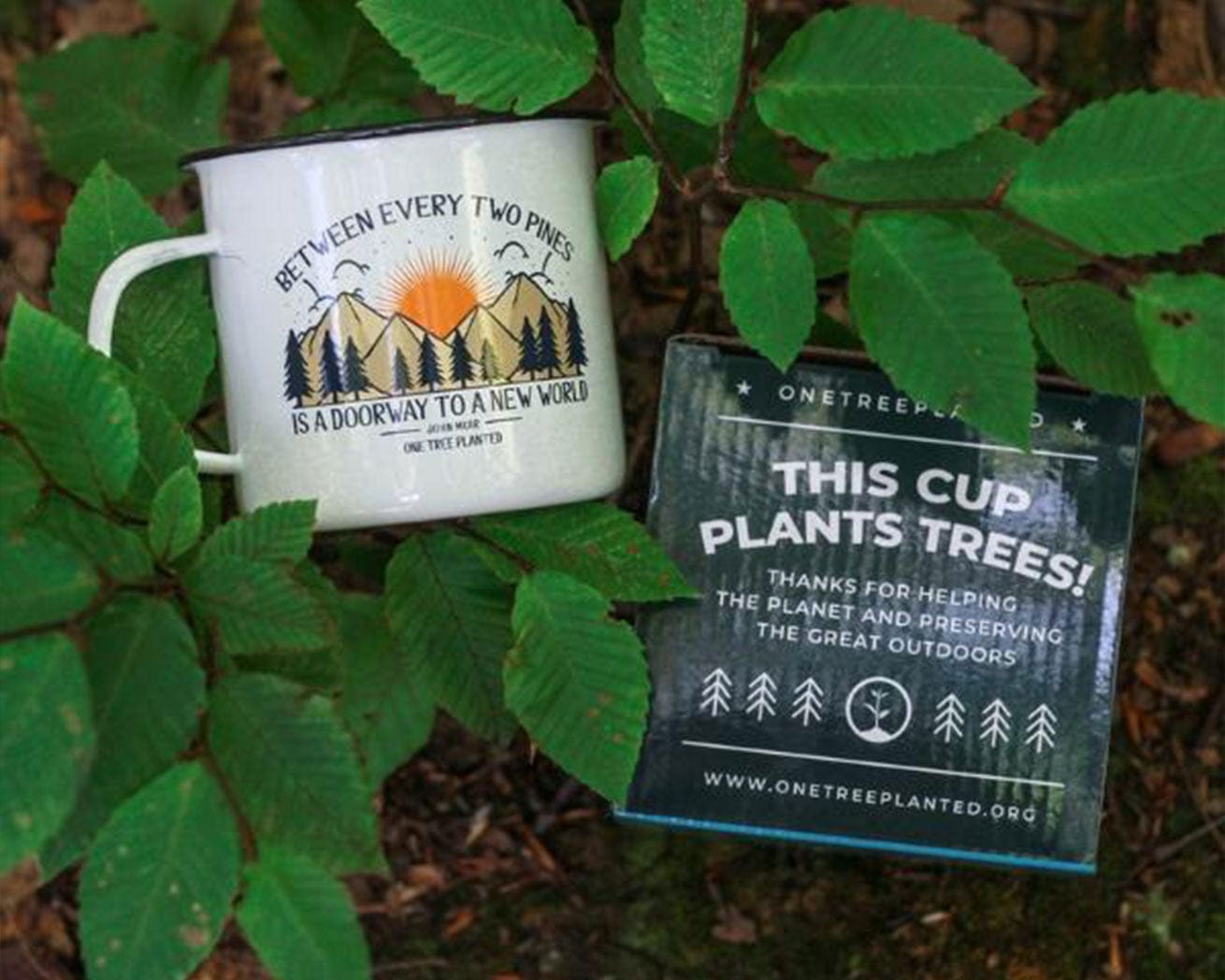 Mug sitting in leaves