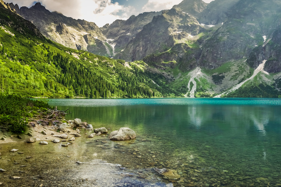 22 Ways You Can Help the Environment This Year