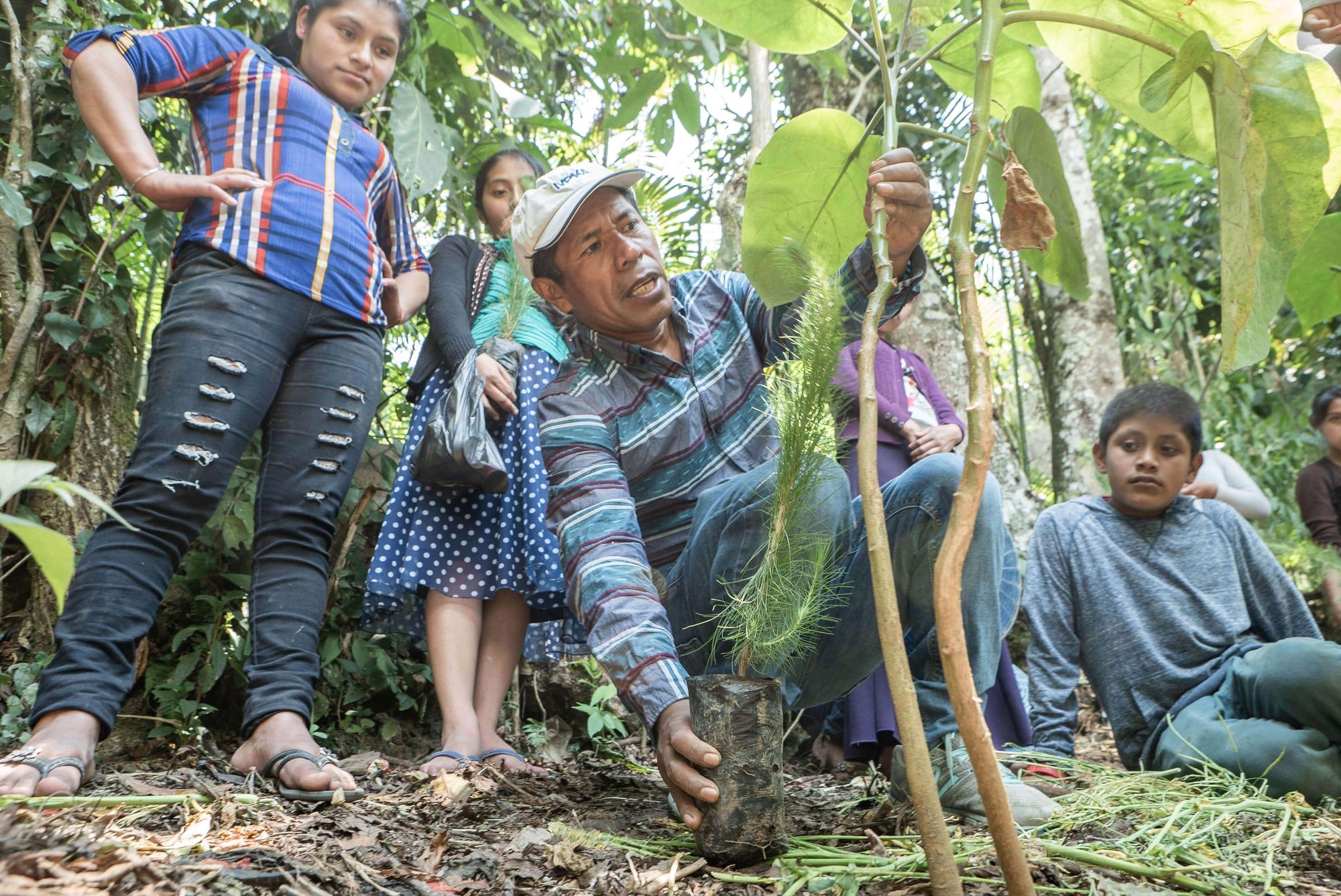 Man in Guatemala showing students how to plant trees