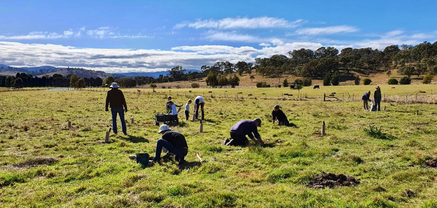 1 Million Trees Planted in First Phase of Australia Landscape Resilience Project