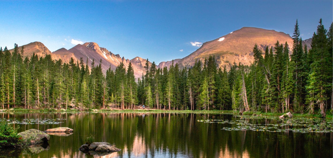 evergreen trees reflected in lake with rocky mountains and bright blue sky
