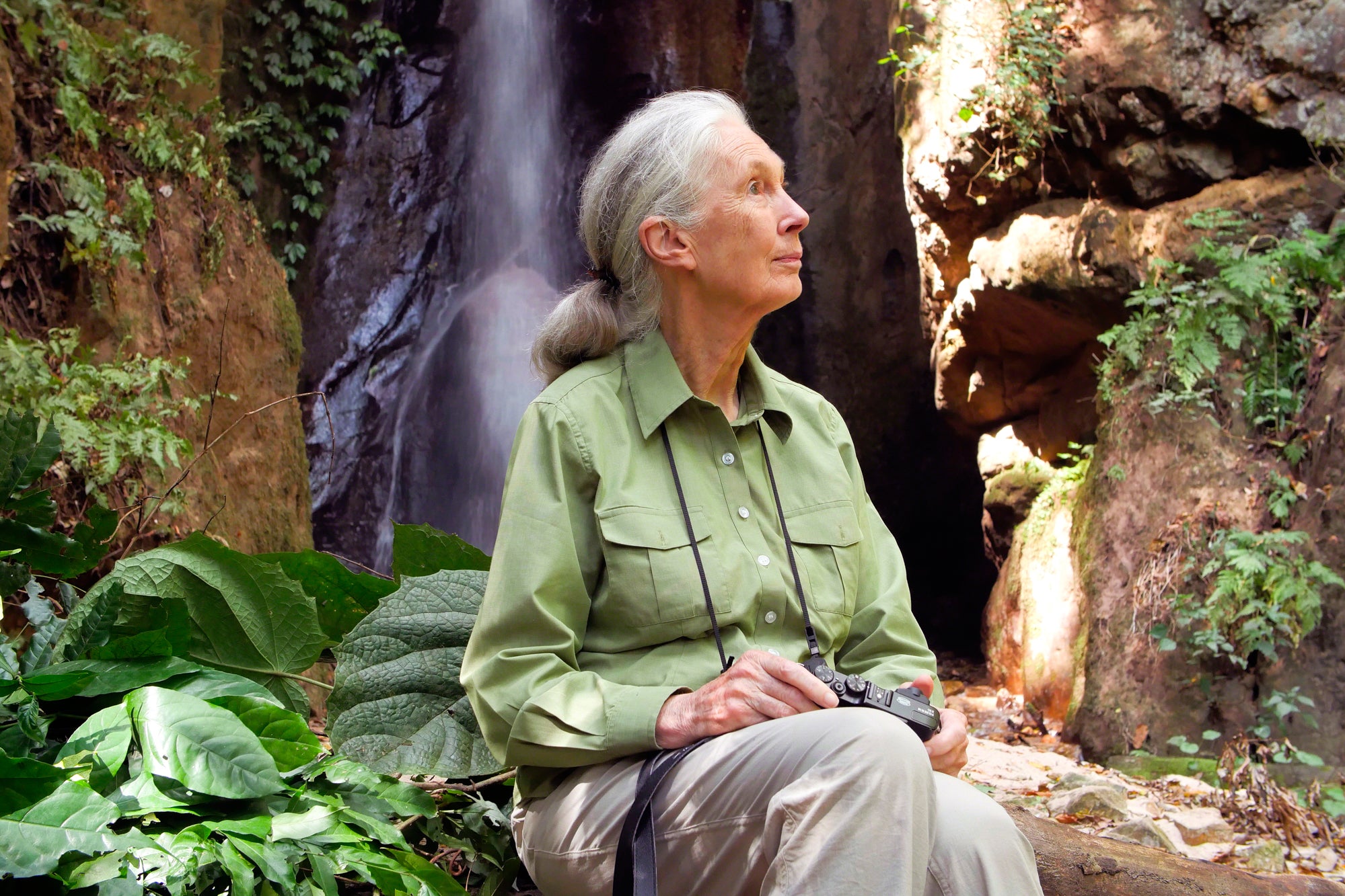 Dr. Jane Goodall outdoors looking to the side