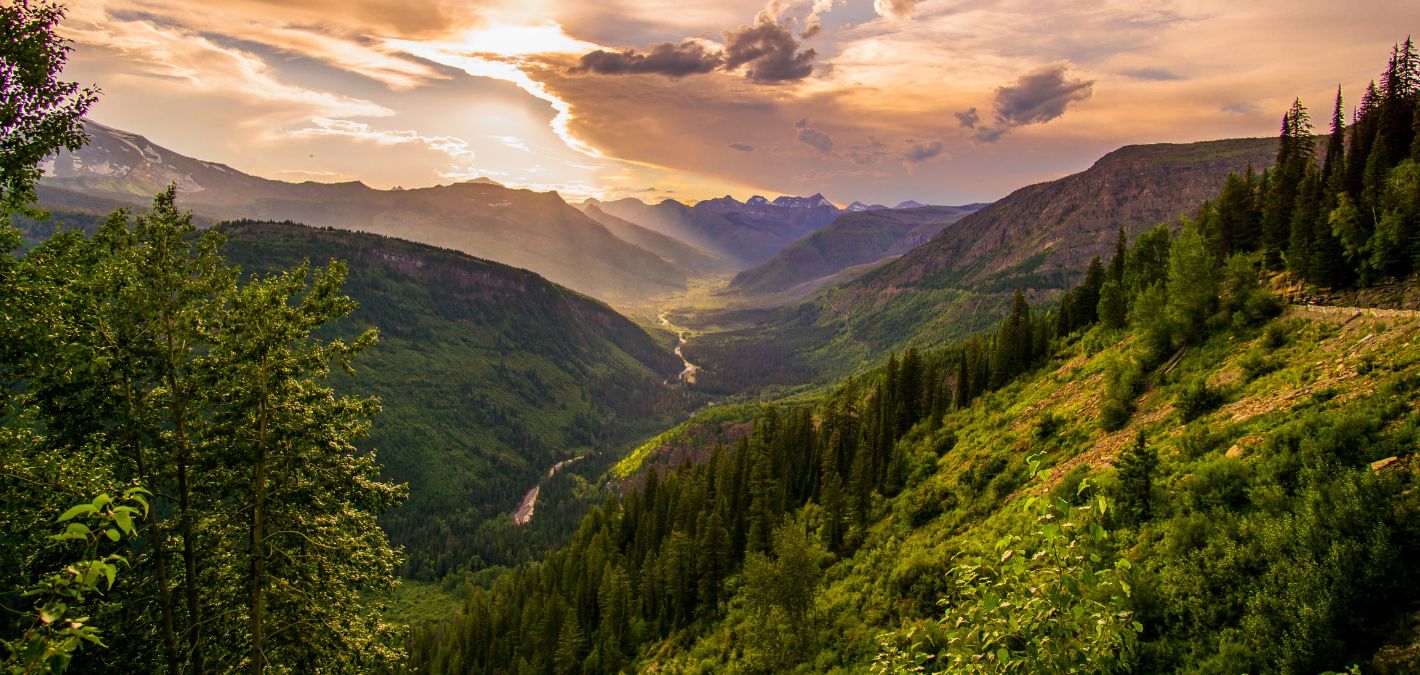 Mountain Forest Sunset