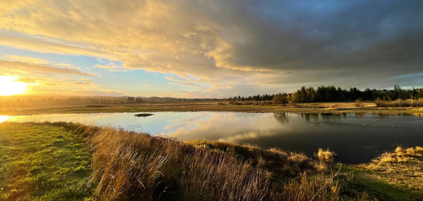 nature scene sunrise