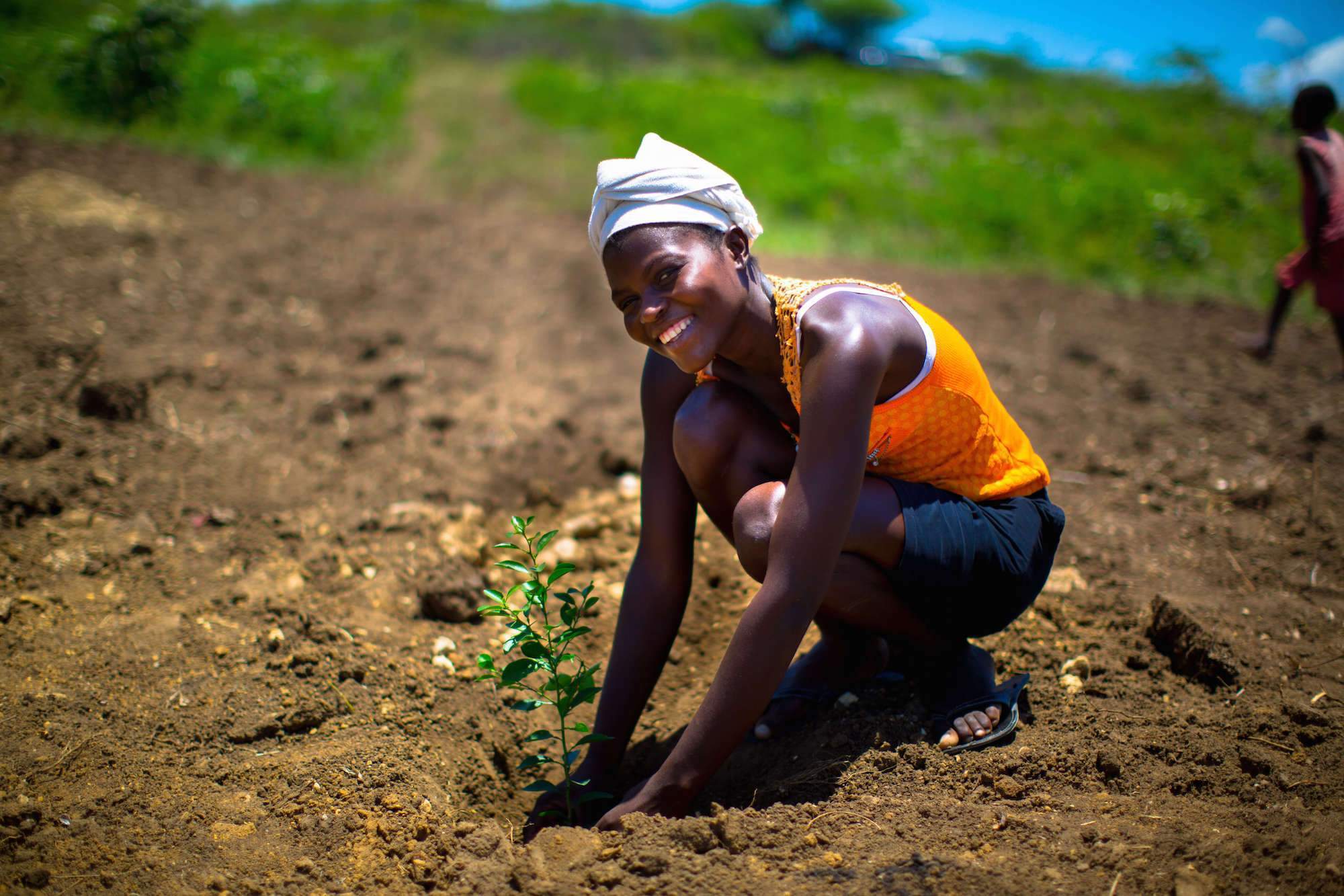 24K Trees Planted in Kenya, Haiti, and India