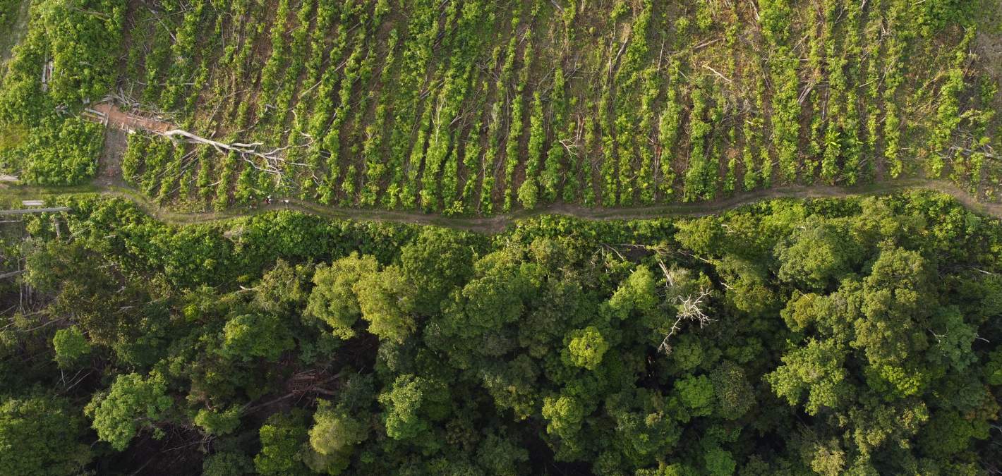 drone shot of landscape