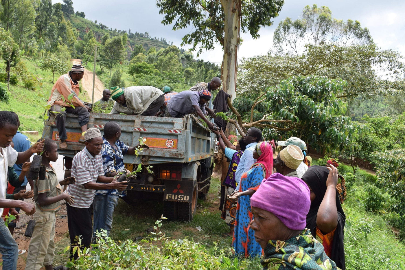 100,000 Trees Planted in Tanzania for Community & Nature Reserve | One ...