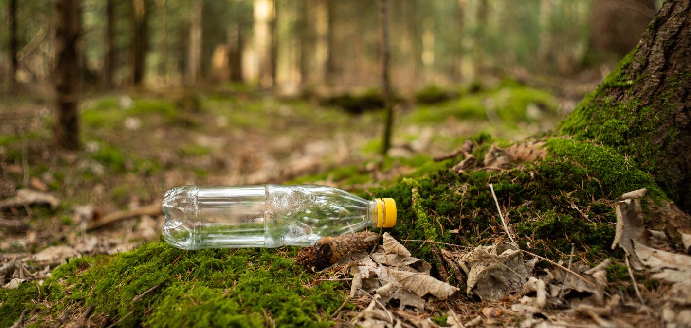 clear plastic water bottle with yellow cap, discarded on green moss covered tree root in forest 