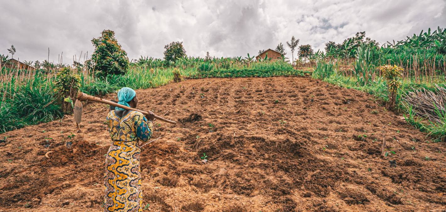 farmer with freshly planted trees