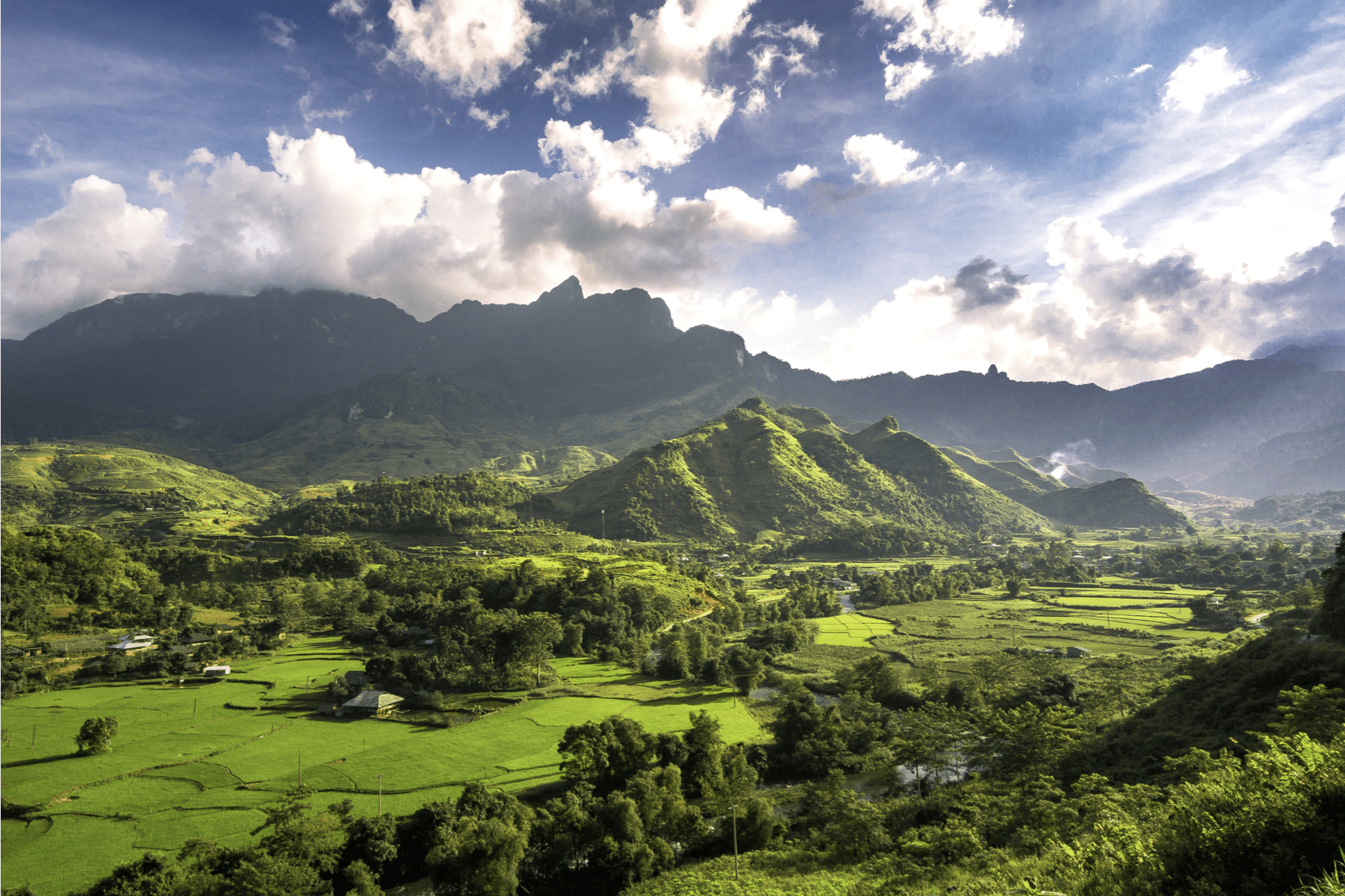 Greenery in Vietnam with many trees alongside a mountain with clouds and blue sky 