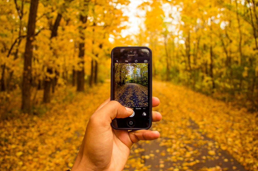 Hand holding a phone on camera mode taking a photo of a fall landscape with yellow leaves