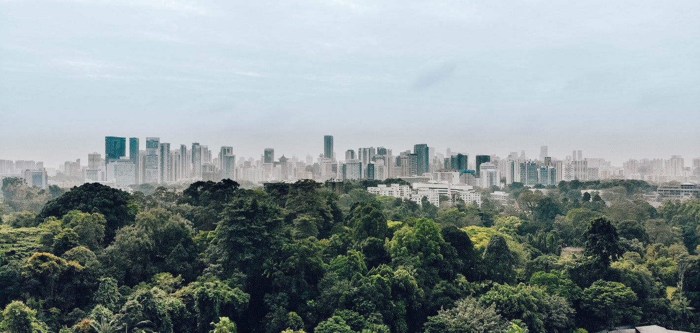 singapore in distance botanical gardens in foreground