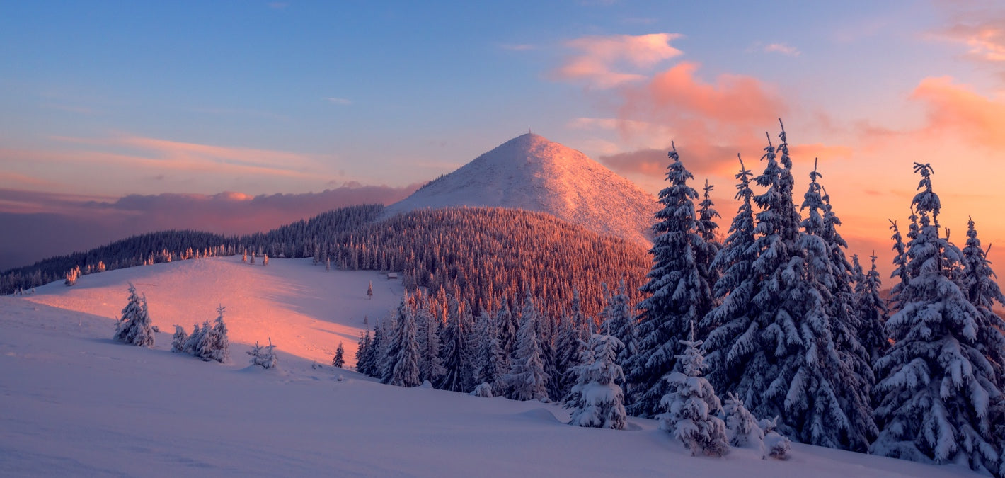 snowy mountain forest landscape