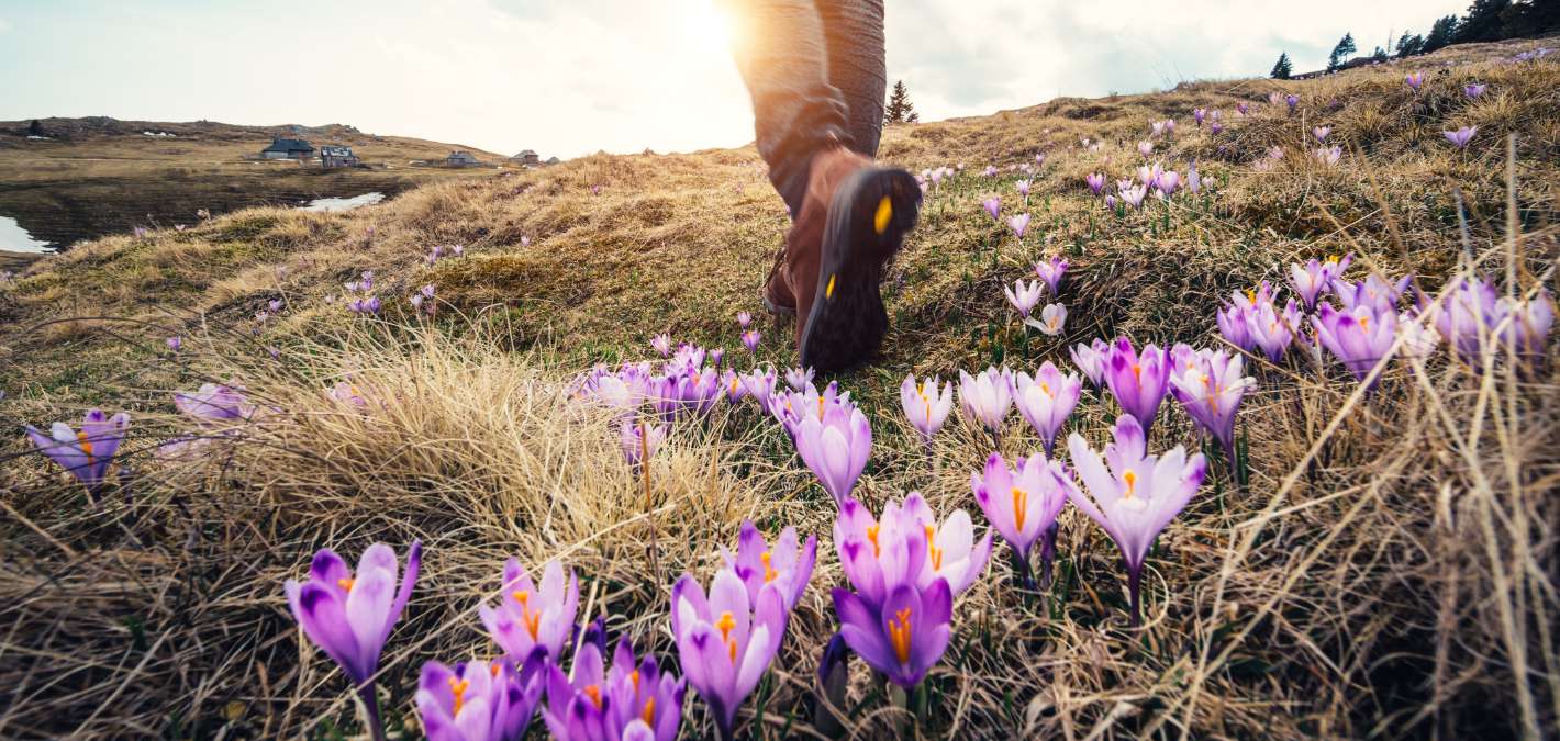 spring hike