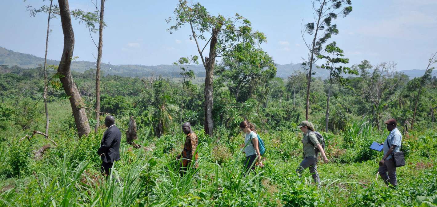 Uganda Albertine Rift Reforestation