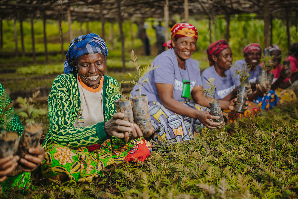 Women Play a Key Role in Addressing Climate Change