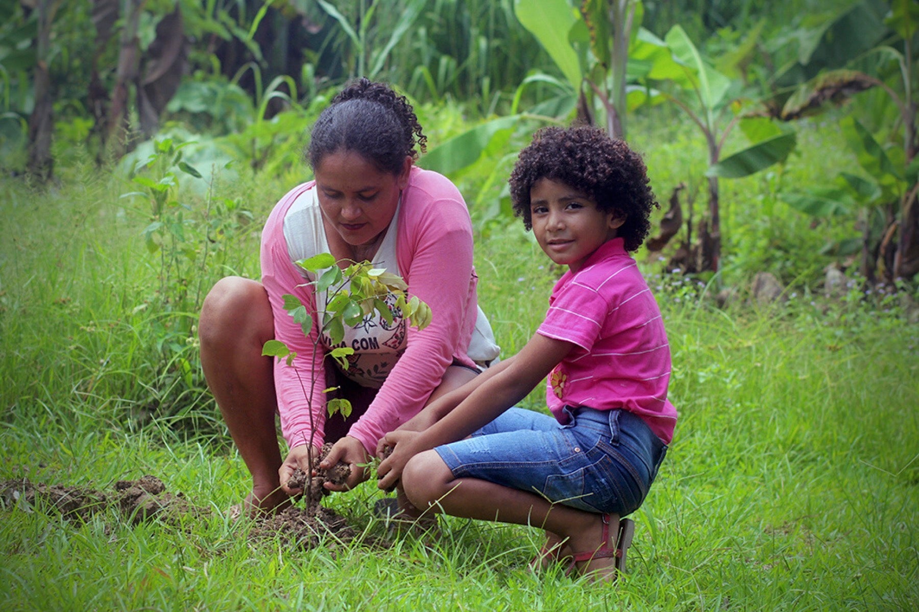 Reforestation Projects Five Success Stories The Brazilian Photographer ...